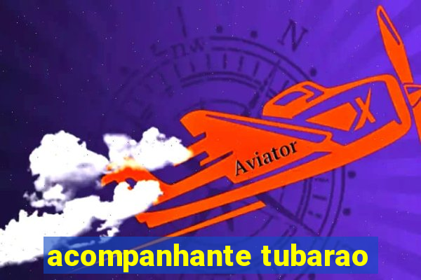 acompanhante tubarao